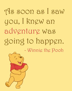 pooh adventure